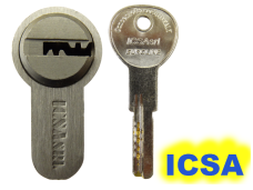 ICSA EURO-LINE (Италия) импрессия 