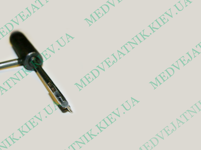 Medvejatnik